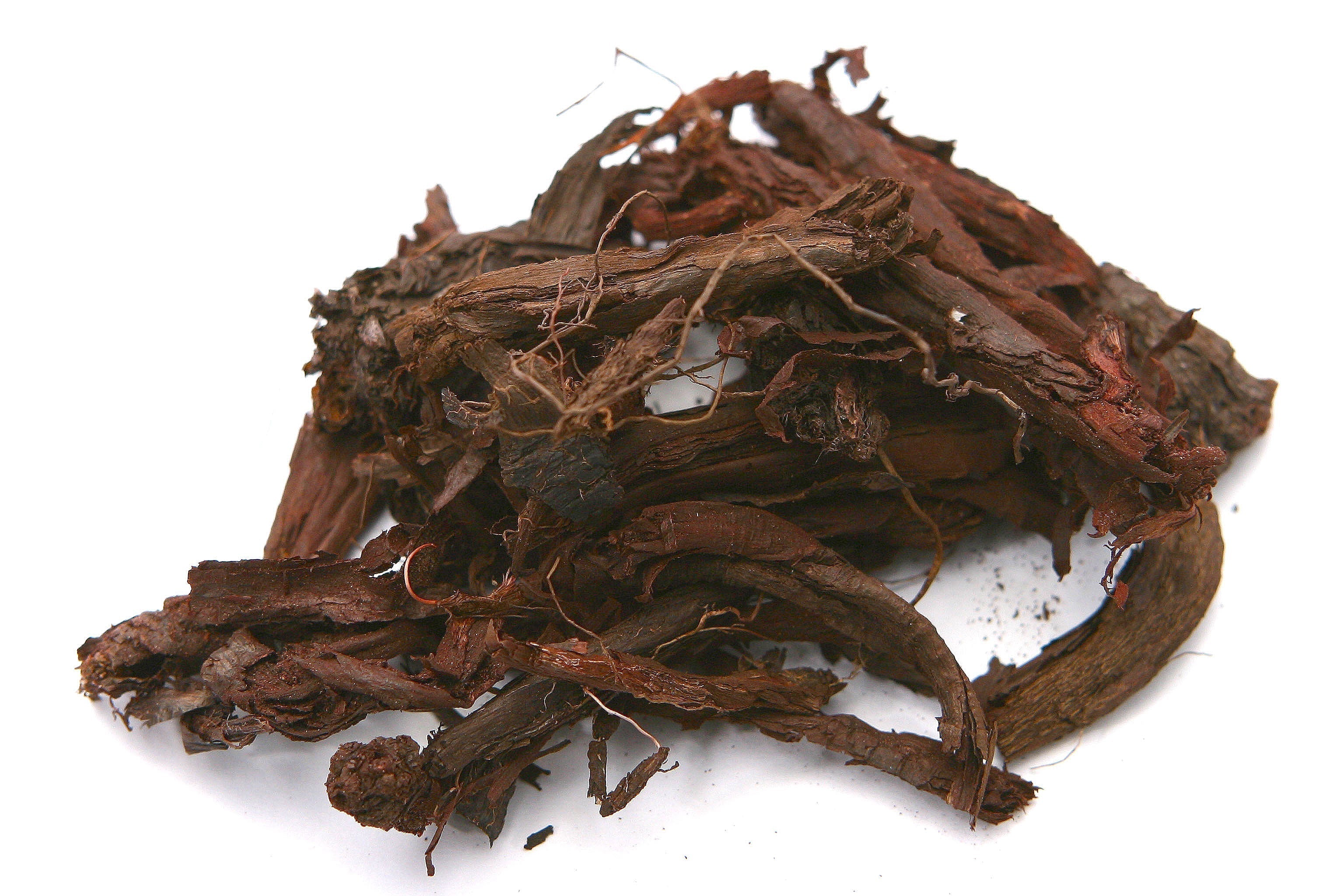 Zi Cao: The Ancient Purple Root Behind Many of Our Herbal Formulas